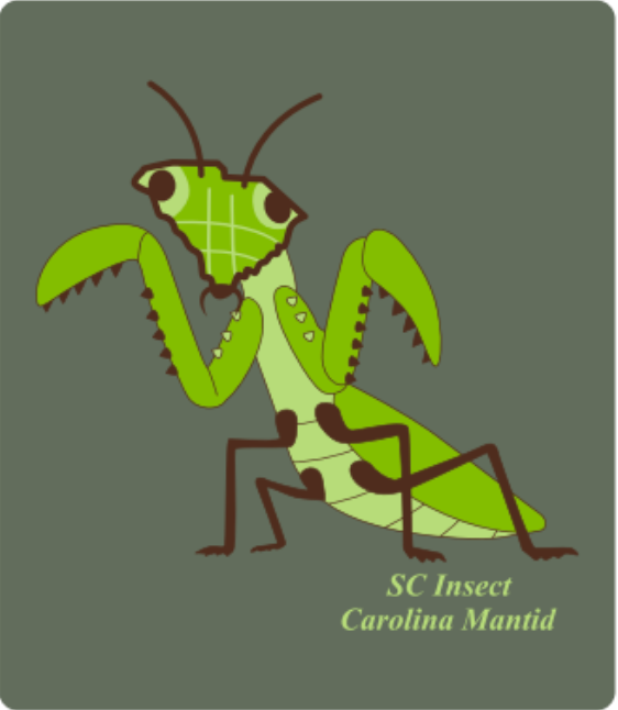 Toddler SC State Insect - Carolina Mantid, Bamboo Blackout T-Shirt