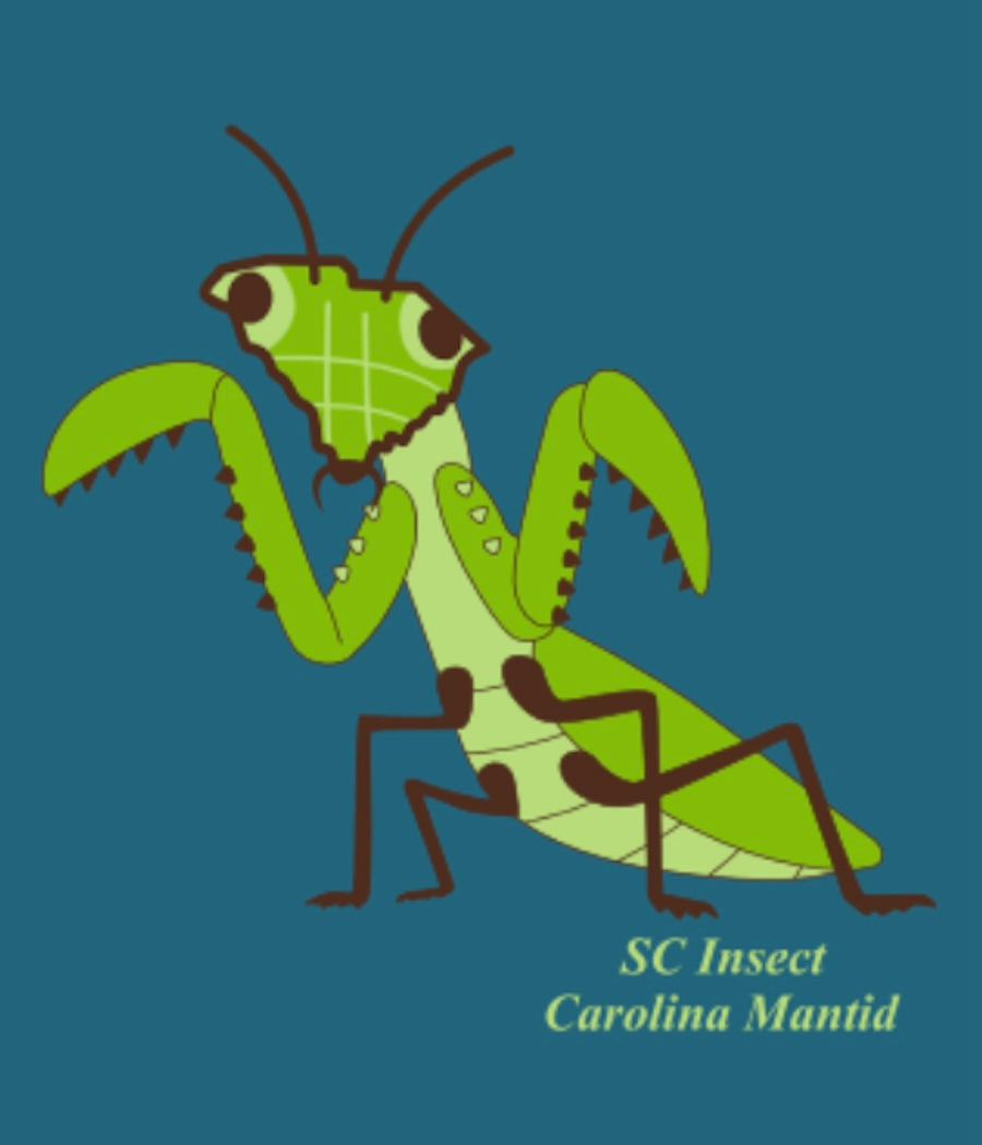 South Carolina Mantid Teal Women's T-Shirt
