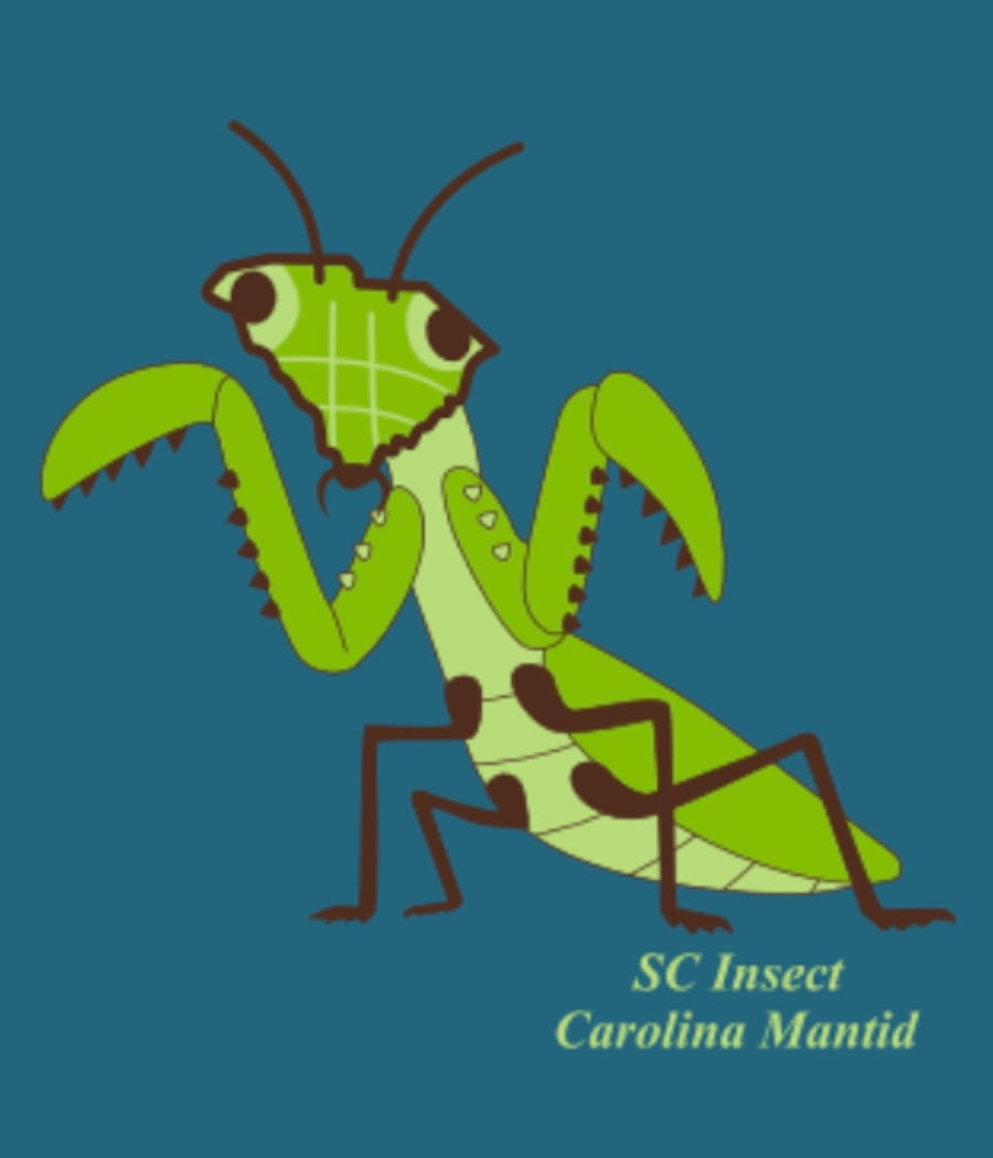 South Carolina Mantid Teal Women's T-Shirt