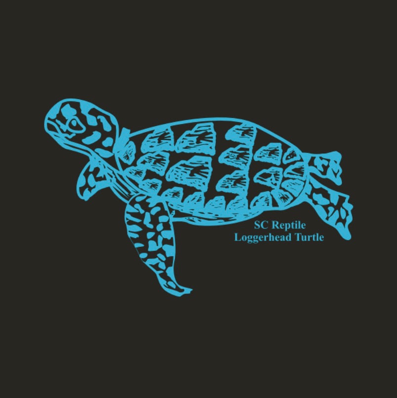 Toddler SC State Reptile Loggerhead Turtle, Grey T-Shirt